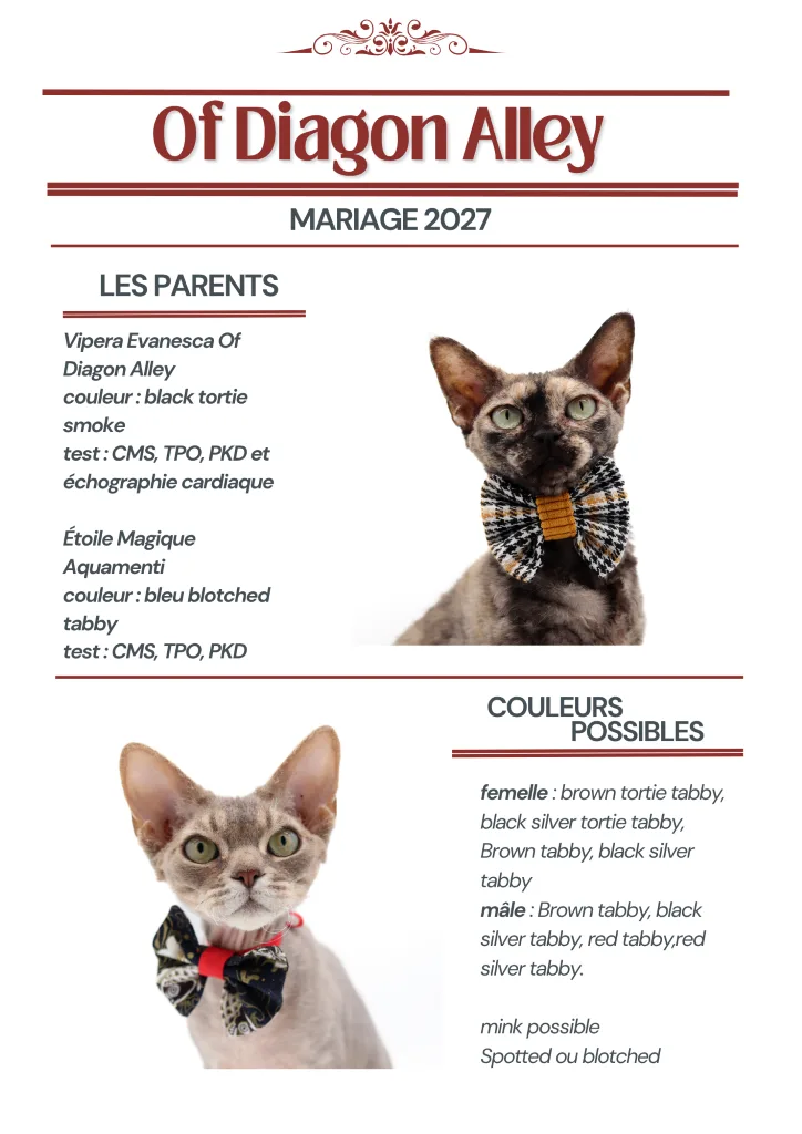 prochain-mariage-vipera-aquamenti-2027